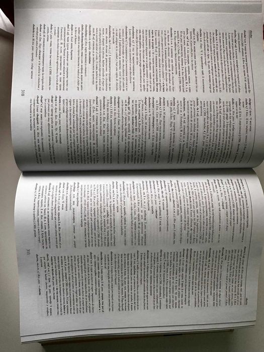 Голям Испанско- български речник