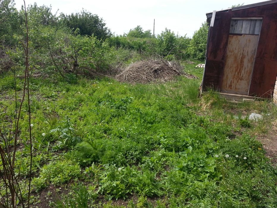 Дача, дачный участок 10 соток