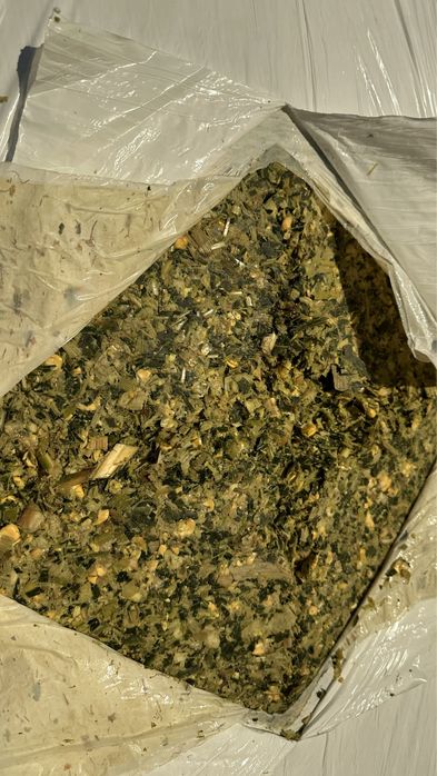 Baloti Siloz Porumb 2025