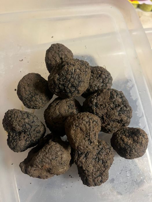 Trufe proaspete si aromate