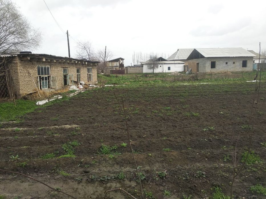 Yer sotiladi To'y tepa qora suv 6 sotix