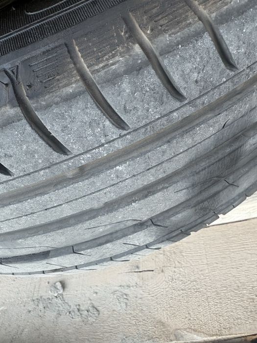 Черепашки с новой резиной TOYO