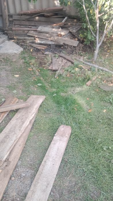 Тегін беремін ағаштарды