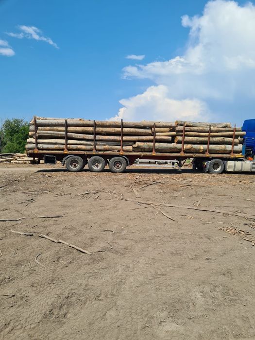 Lemn foc fag paletizat sau buștean