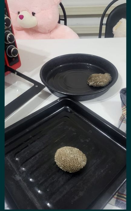 Асель печ сатылады