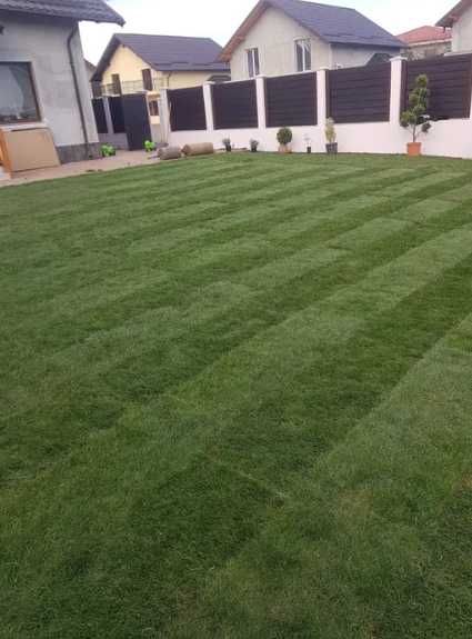 Gazon Rulou de Fermă – Rezultate Vizibile Imediat