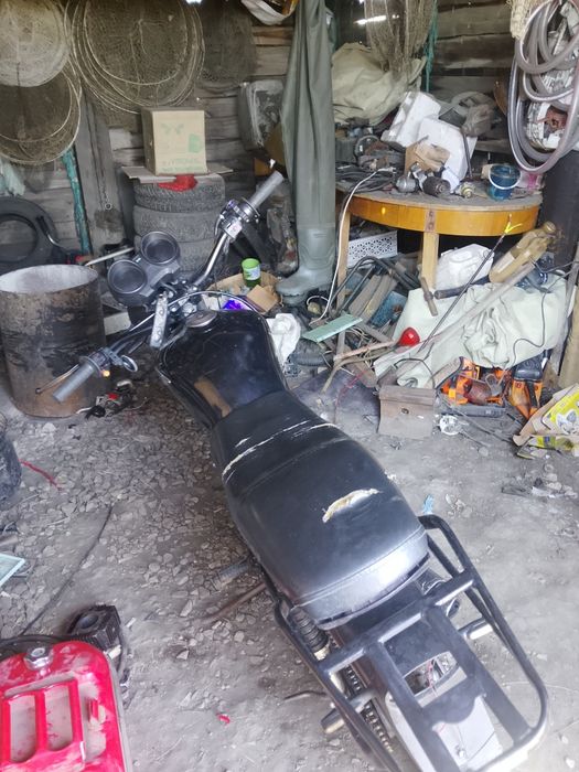 продам альфу Рейсер