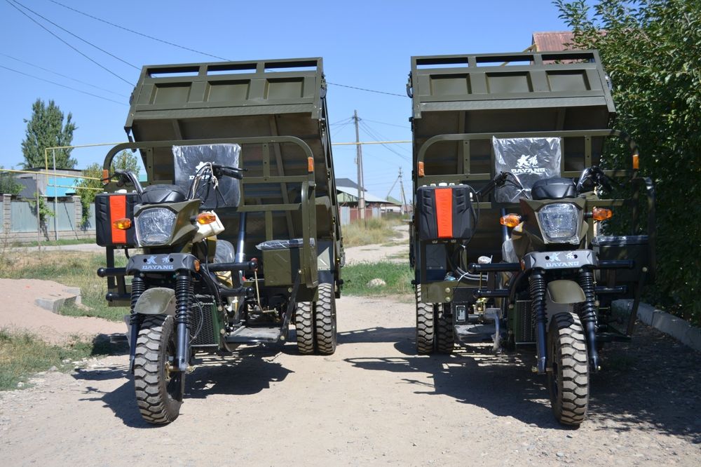 Трицикл муравей 300 куб