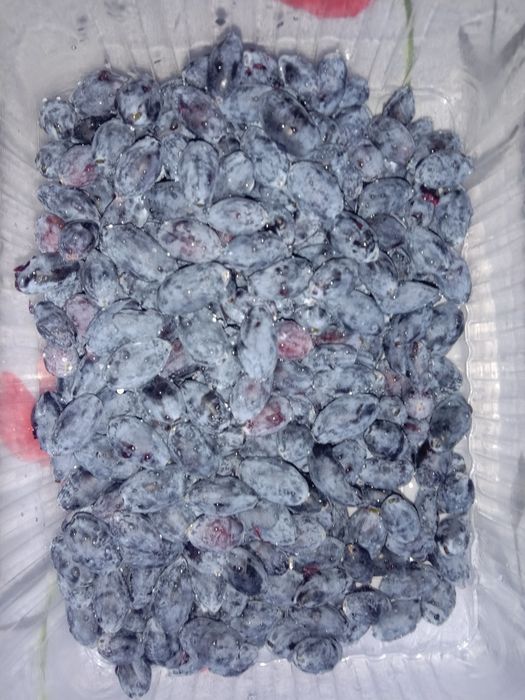 Жимолость свежезамороженная