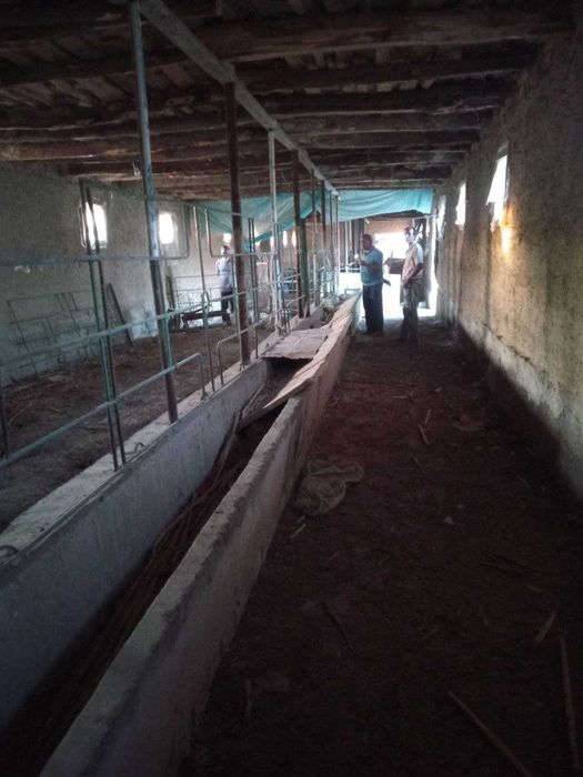 Чорва комплекси сотилади.