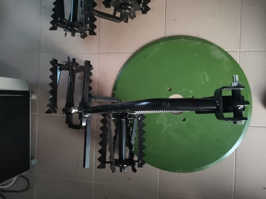 Tavalugi prasitoare rarita