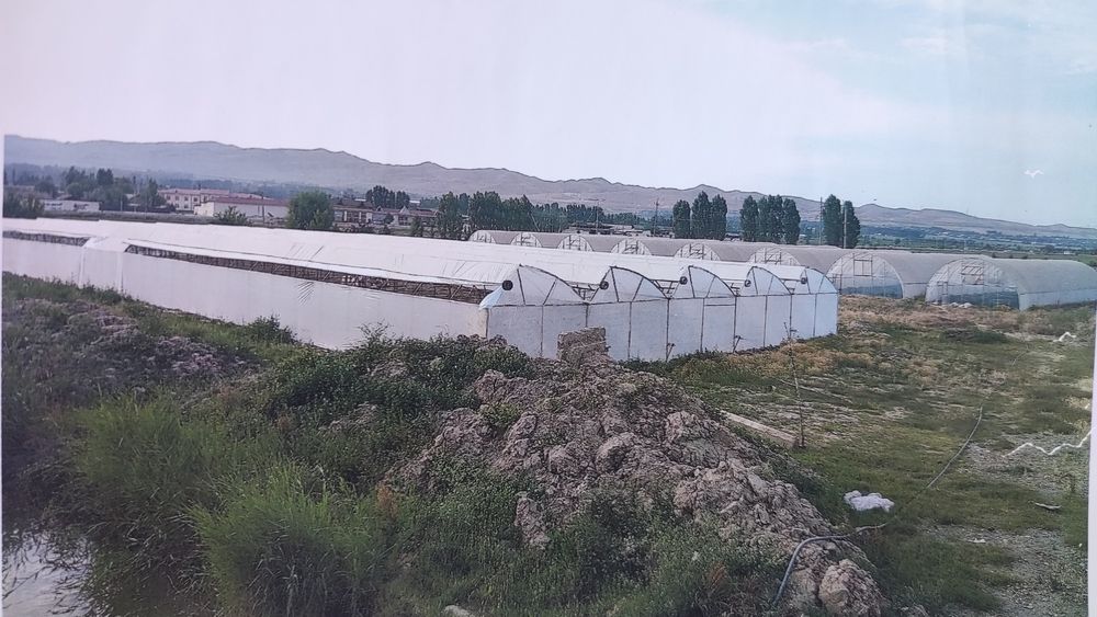 Issiqxona yeri bilan sotiladi.