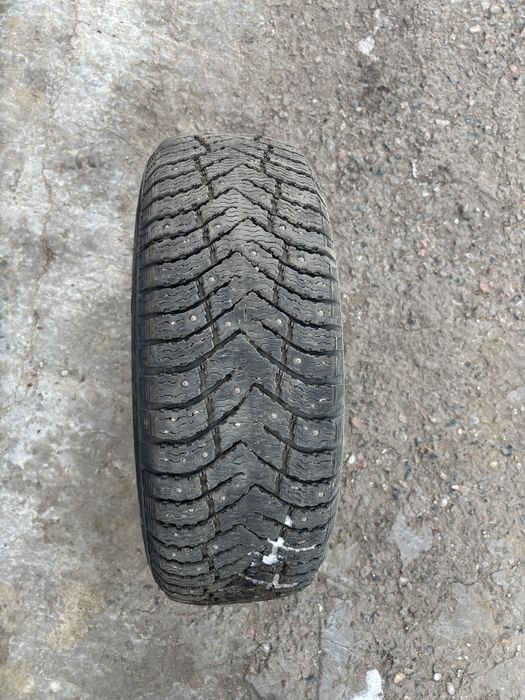 Зимние шины с шипами