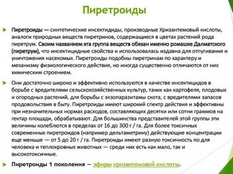 Гарантия 100% дезинфекция dizinfeksiya дизинфекция dezinfeksiya klapa