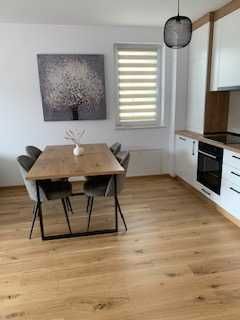 Ofer spre inchiriere apartament str. Carpatilor (cartier Urban)