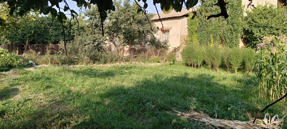 Yer sotiladi 4 sotok