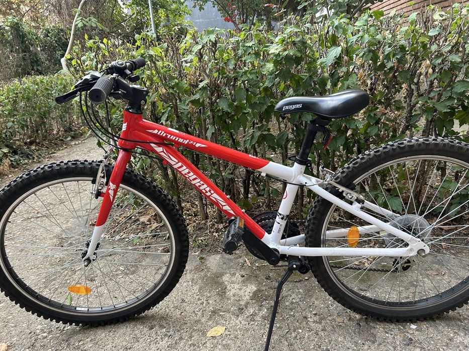Bicicleta Pegas 24’’