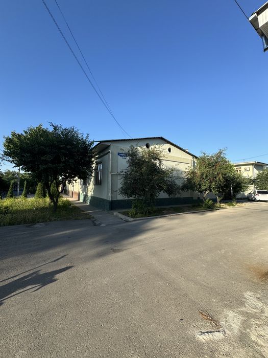 Шофайз 3 сотух