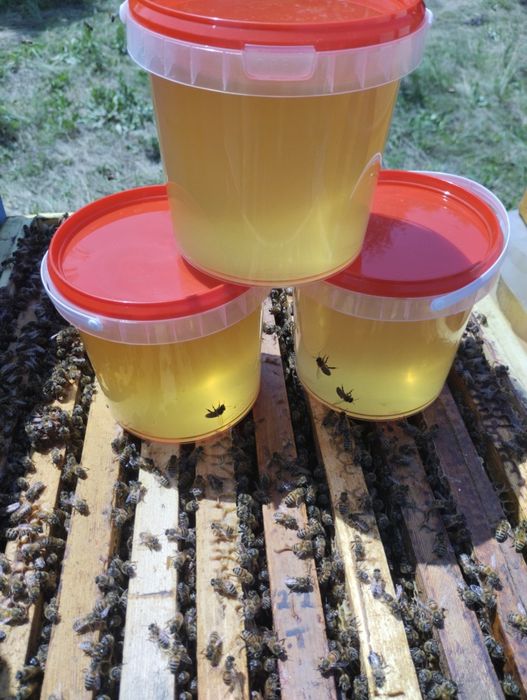 Мёд 100% качества ,с личной пасеки !