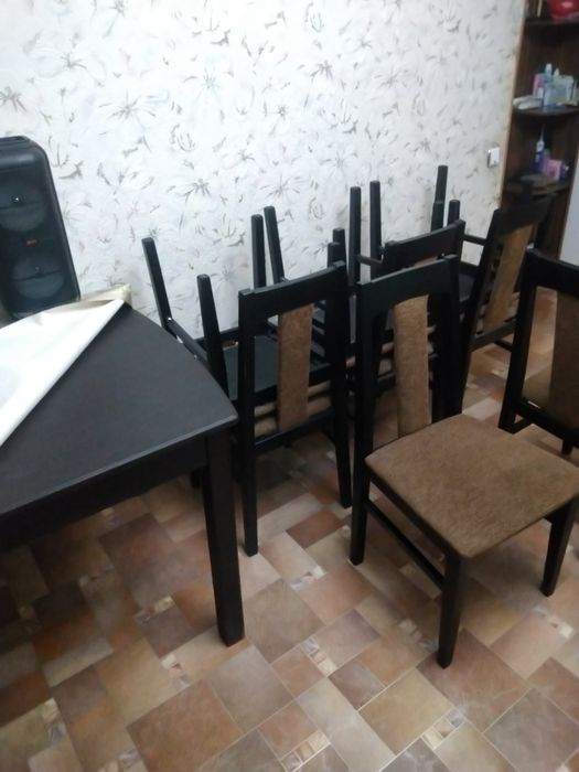 Стол и стулья 10 шт.