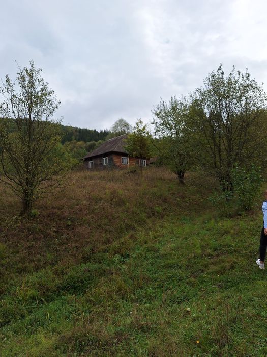 Vand teren intravilan si casa,Bistra, Valea Neagra, Maramures
