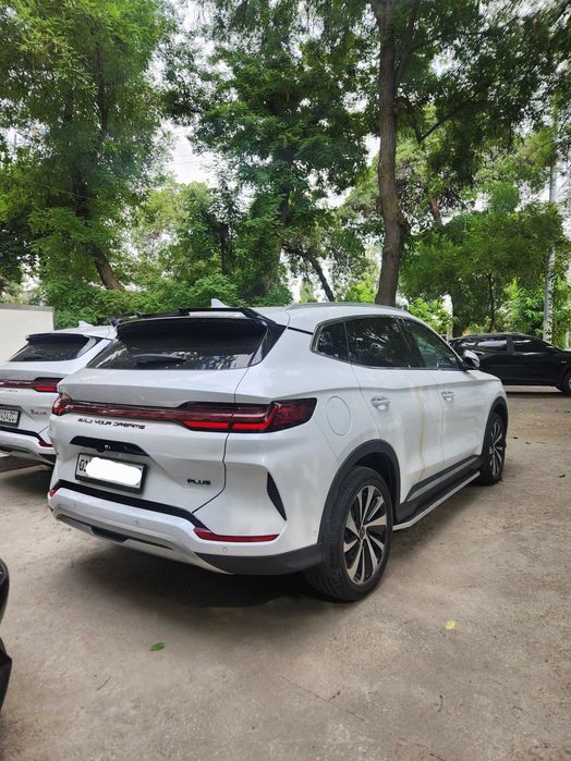 BYD Champion 605, 2024 йил