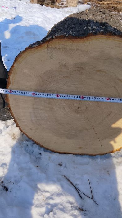 Продам чурбак карагача