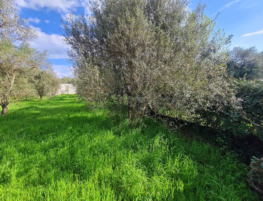 Продава парцел 780 м2 в Аспровалта, Гърция