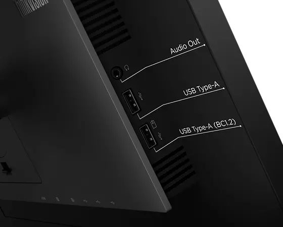 Monitor LED IPS WQHD Lenovo ThinkVision P24q-20