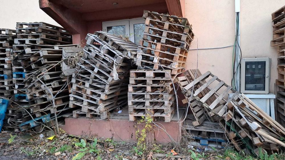 Vand paleti non euro