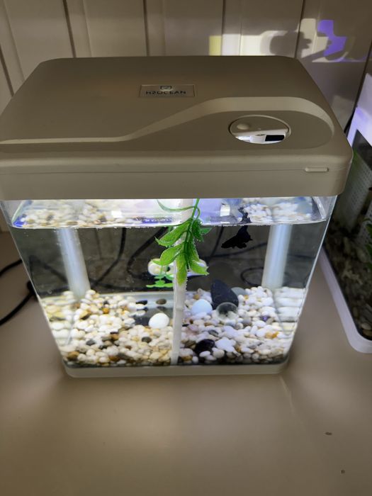 Аквариум 10 литров