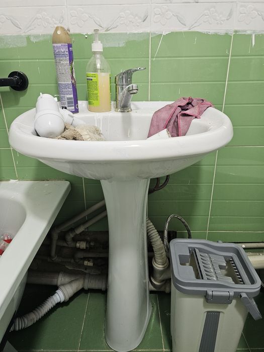 тюльпан раковина