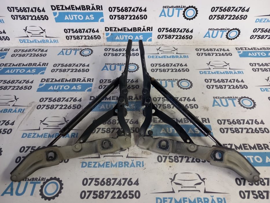 Balamale Capota BMW e90 Seria 3 2009