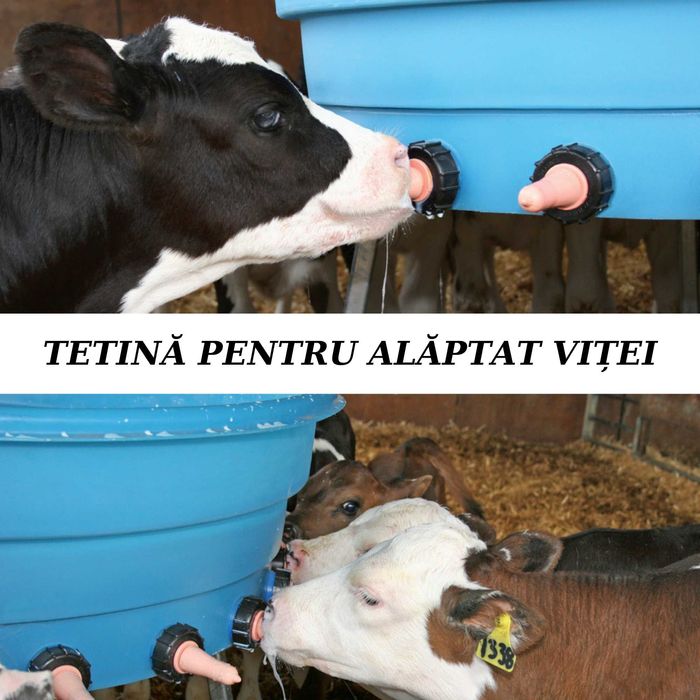 Tetina pentru Alaptat Vitei, Roz