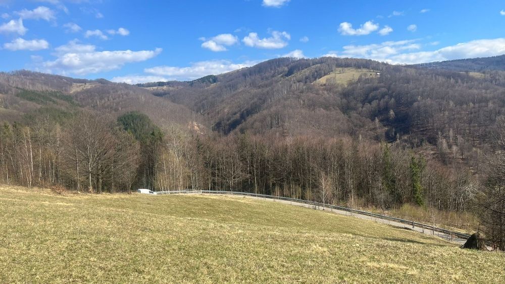 Vand teren pentru cabane