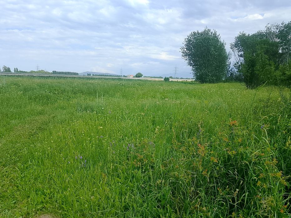 Продам земля поселок белбулак