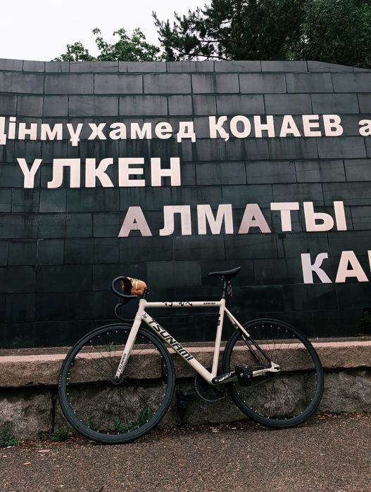 продам тсунами снм100