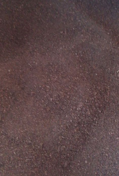 Biogumus va kaliforniya qizil chuvalchangi 100% kafolat