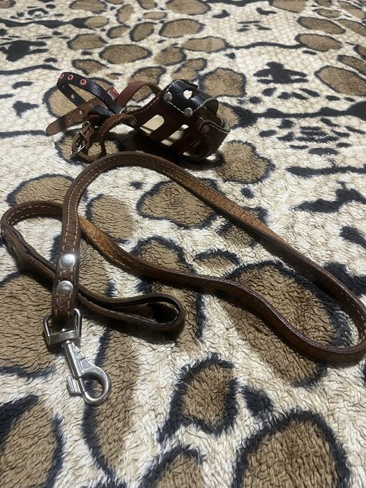 Намордник и поводок