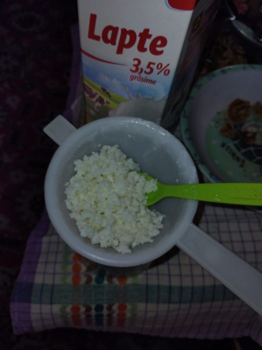 Ciupercă kefir din lapte