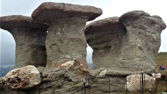 Excursii Montane/Team Building