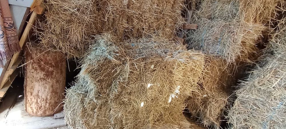 Vând baloți de fân