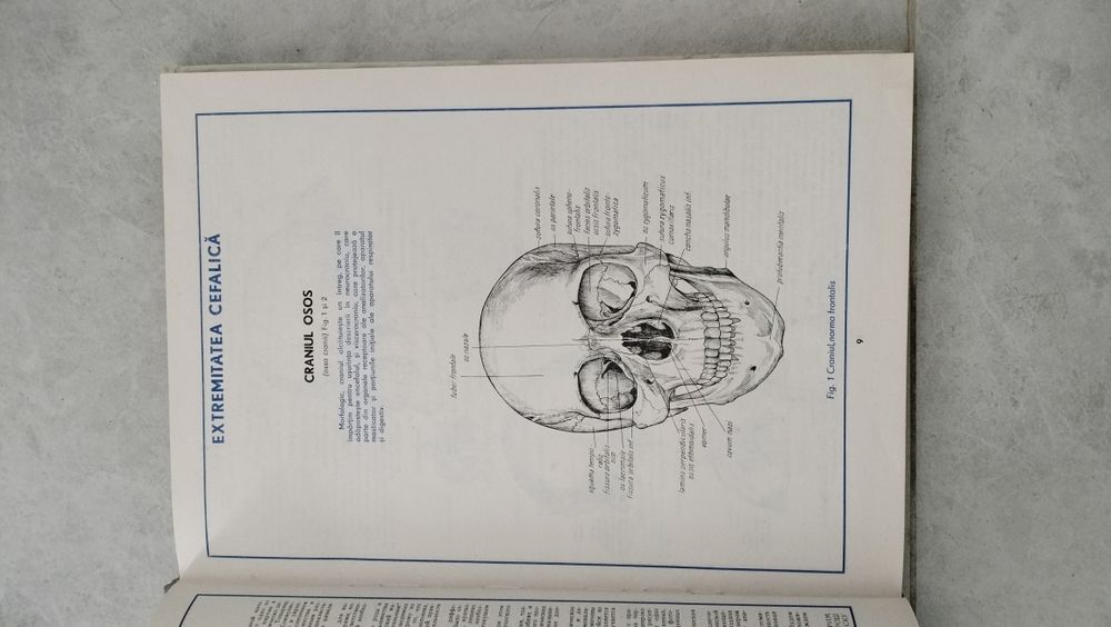 Atlas de anatomie umana, C.Cerbulescu ,1983, vol.1