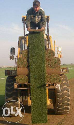 Gazon rulou calitate exceptionala