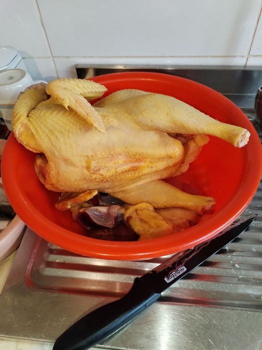 Cocoși tineri 3 kg de țară