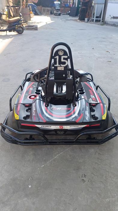 Rimo sinus ion электрокартинг