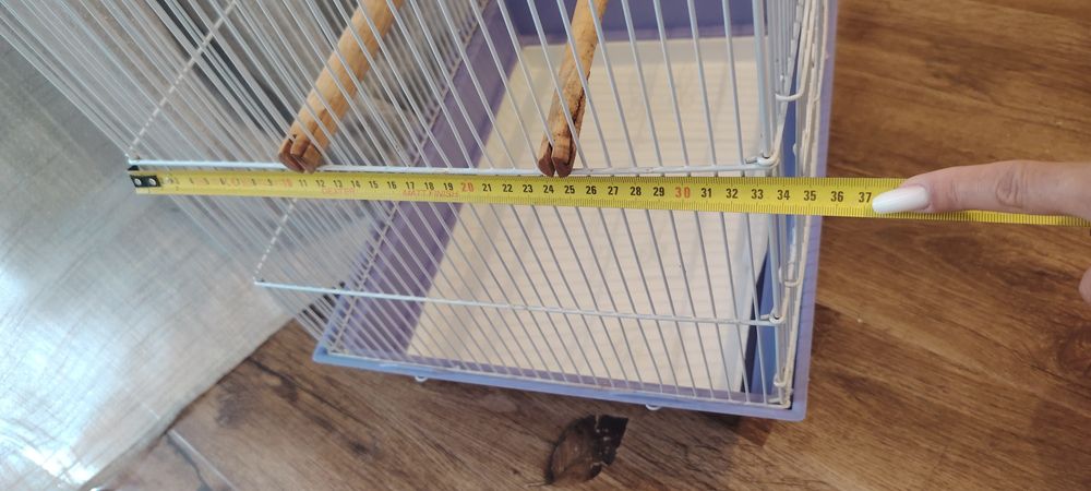 Colivie mare papagali.