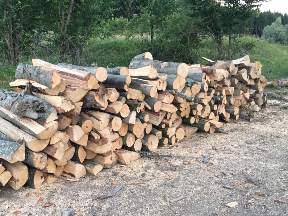 Lemne pentru foc esențe tari