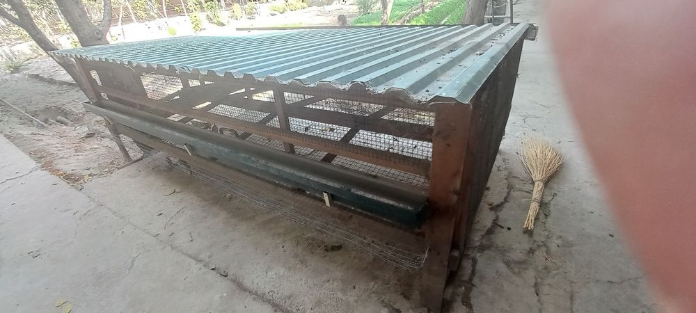 Tovuq uyi,katak 50 ta tovuq ketadigan universal