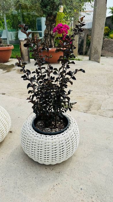 Кашпо из ротанга